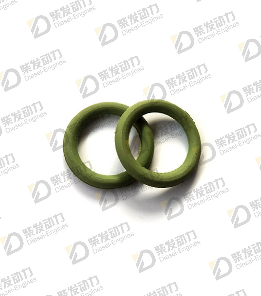 O-ring 466922 